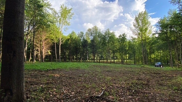 7876 Bill Moss Rd, White House, TN 37188