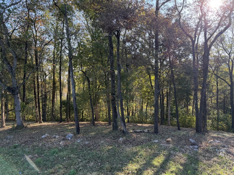 7025 Cairo Bend Rd Lot 36, Lebanon, TN 37087