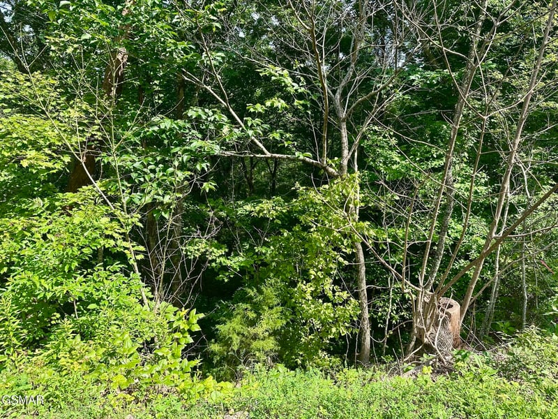 0 Dogwood Dr Lot 5, Sevierville, TN 37876