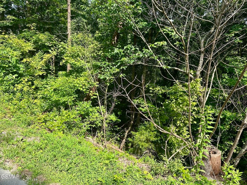 0 Dogwood Dr Lot 5, Sevierville, TN 37876
