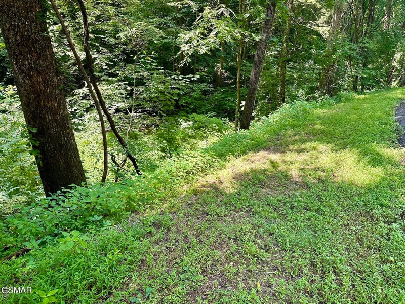 706 School House Gap Rd Lot 706A, Sevierville, TN 37876