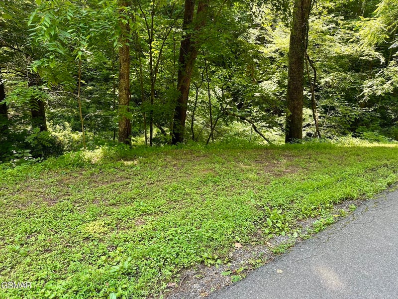 706 School House Gap Rd Lot 706A, Sevierville, TN 37876