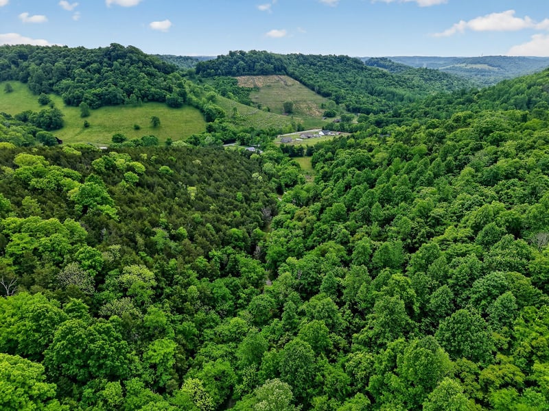 0 Club Springs Rd Lot 9,10, Elmwood, TN 38560