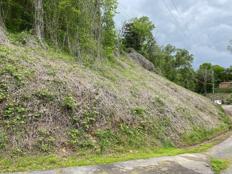 4 Coveside Way Lot 4, Sevierville, TN 37876