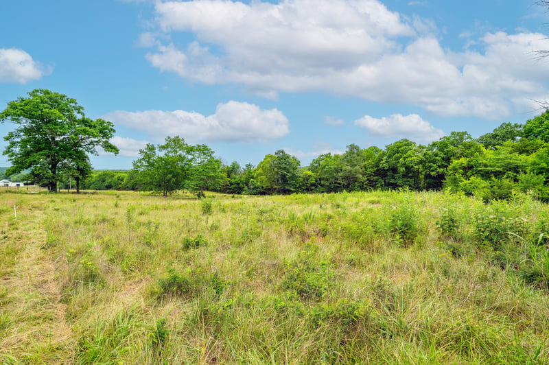 0 Haley Rd Lot 1, Watertown, TN 37184