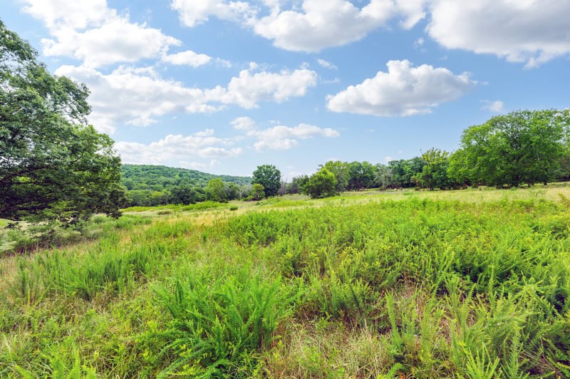 0 Haley Rd Lot 2, Watertown, TN 37184