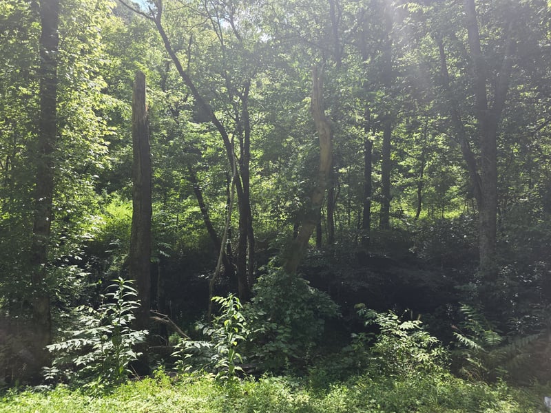 0 Difficult Ln, Pleasant Shade, TN 37145