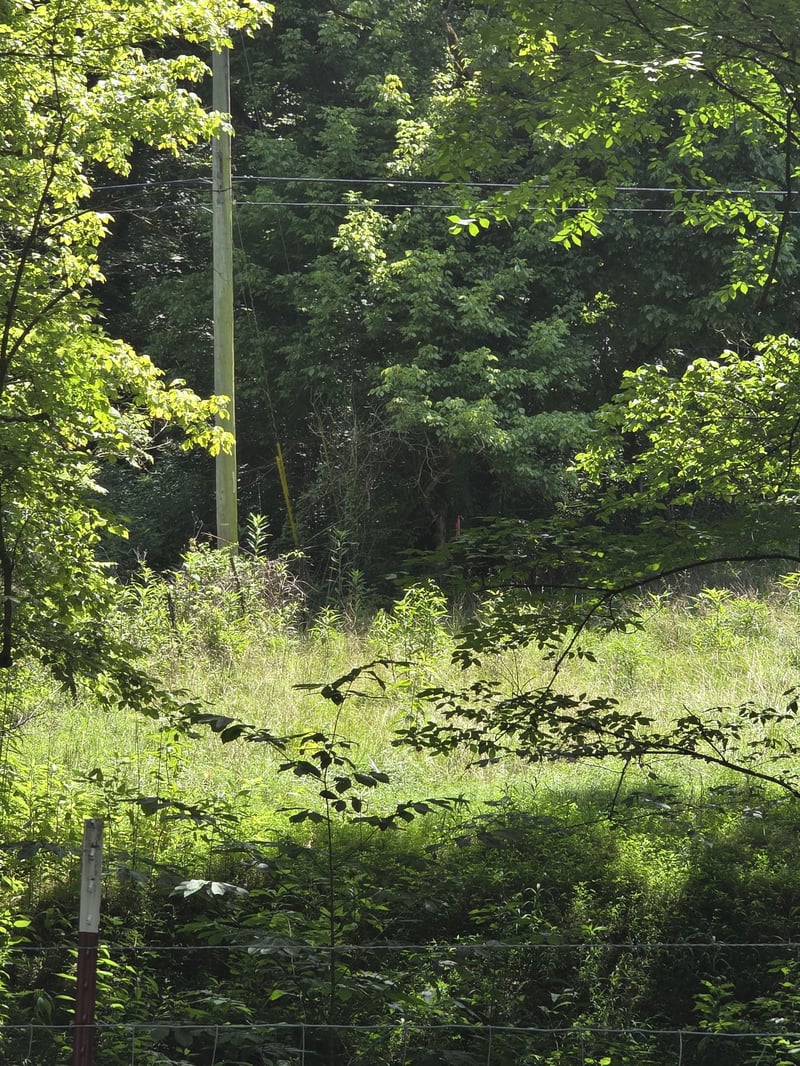 0 Difficult Ln, Pleasant Shade, TN 37145