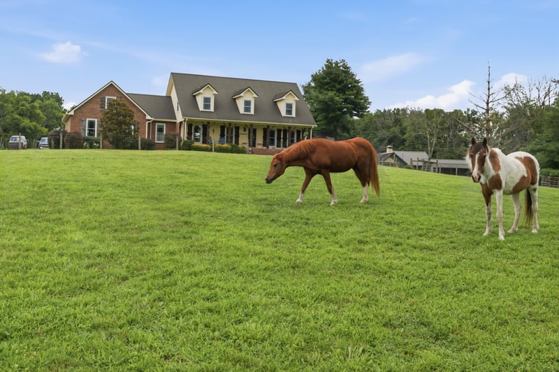 1038 Kansas Ln, Gallatin, TN 37066