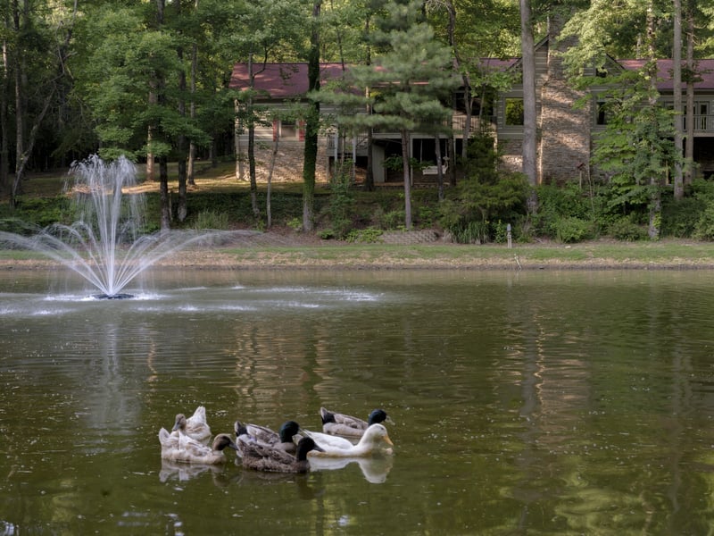 7348 Bradford Rd, Primm Springs, TN 38476