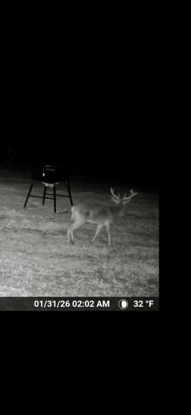 0 Sealy Wells Rd Lot 3, Cottonwood, AL 36320