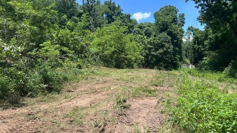 2627 Roy Dodson Rd, Columbia, TN 38401