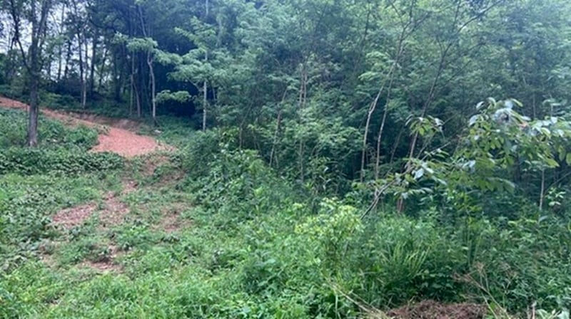 2627 Roy Dodson Rd, Columbia, TN 38401