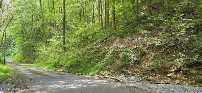 25 Black Walnut Flats Rd Lot 0025, Sevierville, TN 37862