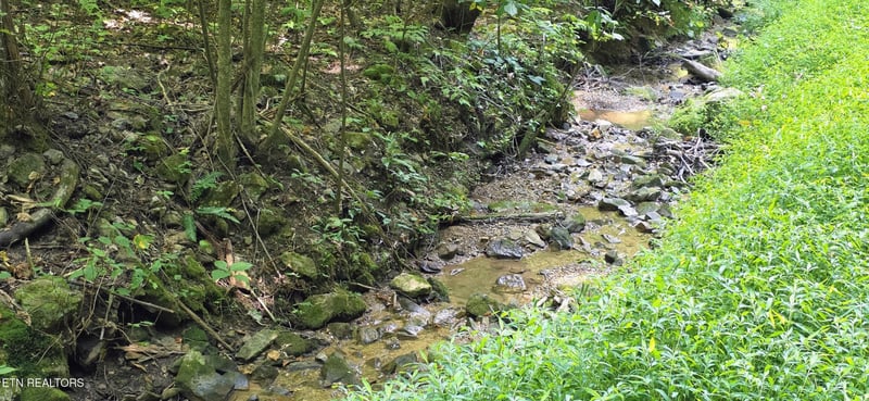 16 Black Walnut Flats Rd Lot 16, Sevierville, TN 37862