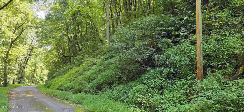 28 Black Walnut Flats Rd Lot 28, Sevierville, TN 37862