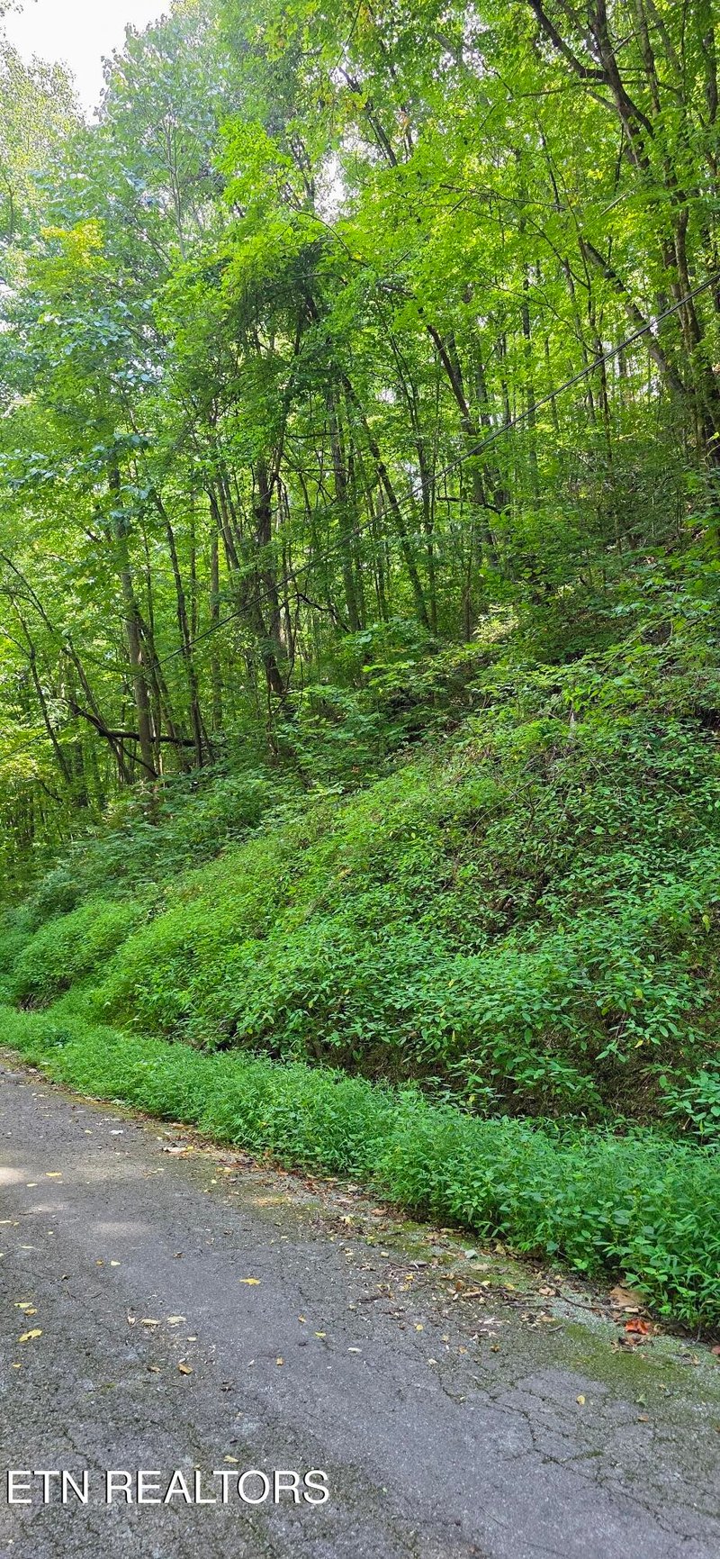 28 Black Walnut Flats Rd Lot 28, Sevierville, TN 37862