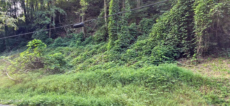 39 Black Walnut Flats Rd Lot 0039, Sevierville, TN 37862