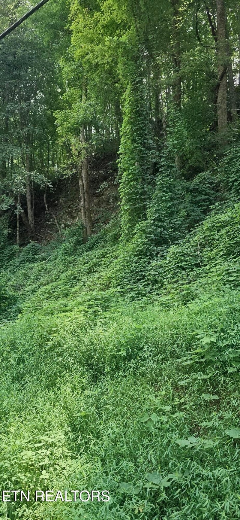 39 Black Walnut Flats Rd Lot 0039, Sevierville, TN 37862