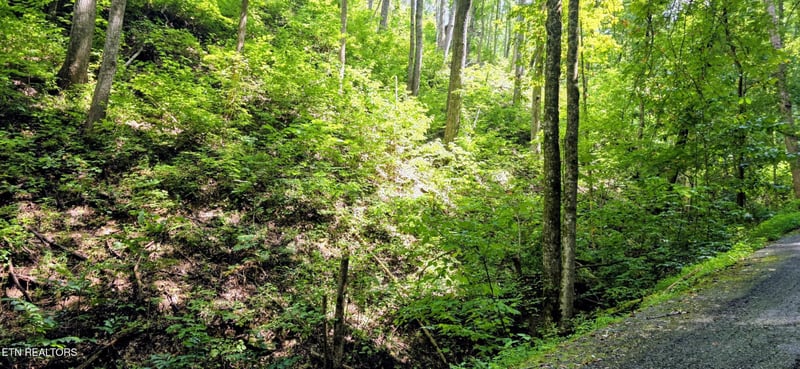 15 Emerald Springs Loop Lot 15, Sevierville, TN 37862