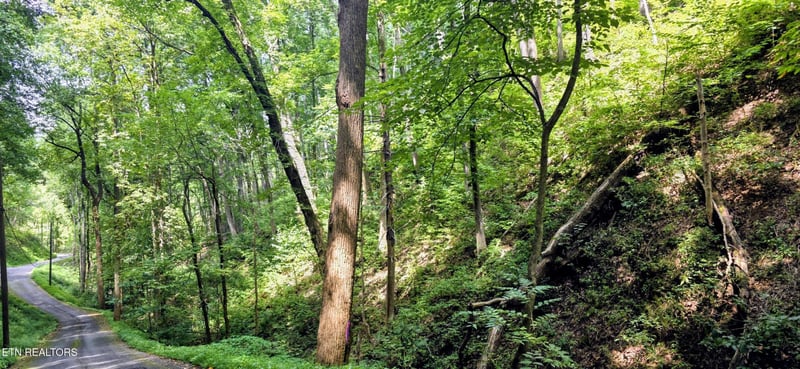 15 Emerald Springs Loop Lot 15, Sevierville, TN 37862