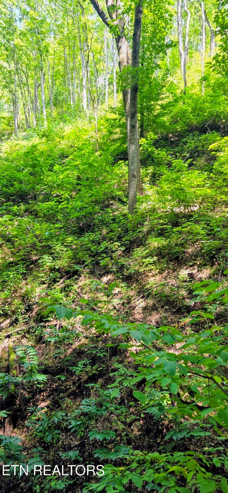 15 Emerald Springs Loop Lot 15, Sevierville, TN 37862