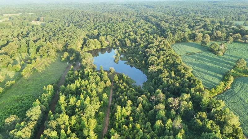 2371 Sylvia Rd, Dickson, TN 37055