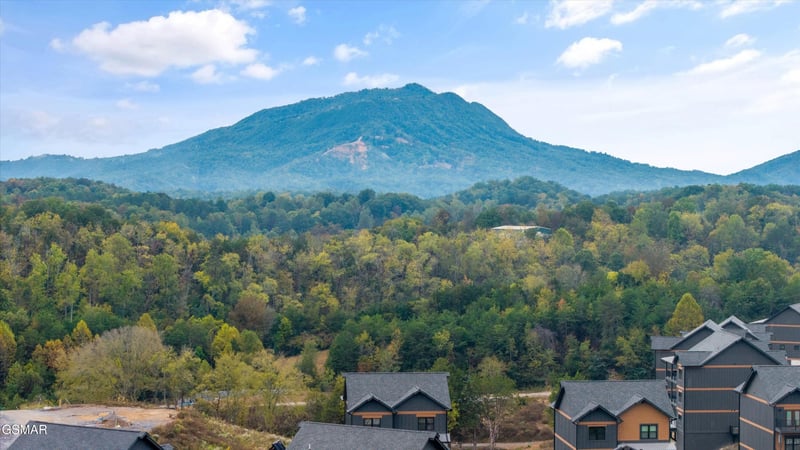 331 Rambling Creek Way, Sevierville, TN 37862