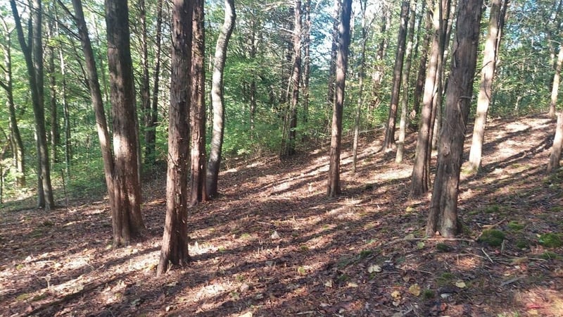 9157 Highway 100, Nashville, TN 37221