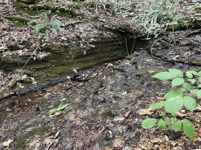 0 Mcclanahan Rd, Hampshire, TN 38461
