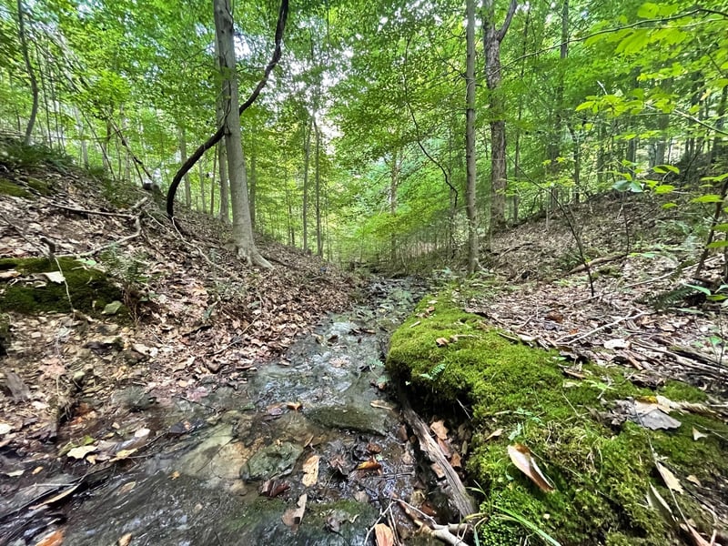 0 Mcclanahan Rd, Hampshire, TN 38461