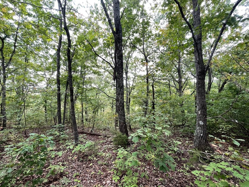 0 Mcclanahan Rd, Hampshire, TN 38461