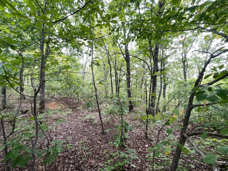 0 Mcclanahan Rd, Hampshire, TN 38461