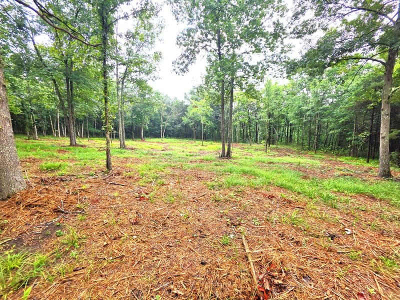 0 Couchville Pike, Mount Juliet, TN 37122