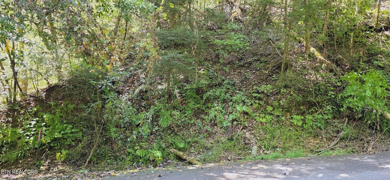 5 Sugar Maple Loop Rd Lot 0005, Sevierville, TN 37862