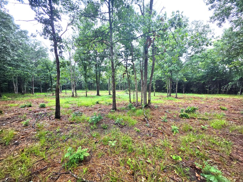 1 Couchville Pike, Mount Juliet, TN 37122