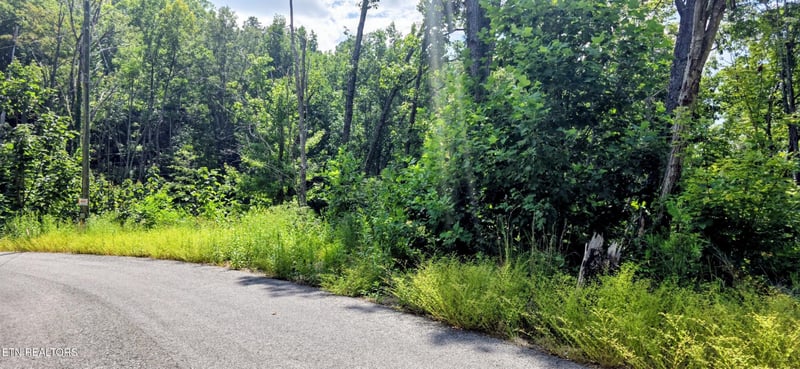 14 Sugar Maple Loop Rd Lot 14, Sevierville, TN 37862
