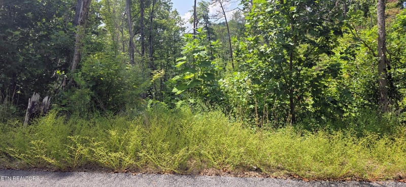 14 Sugar Maple Loop Rd Lot 14, Sevierville, TN 37862