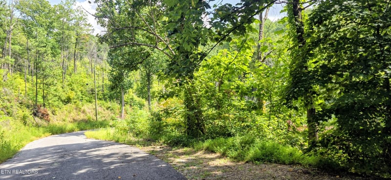 14 Sugar Maple Loop Rd Lot 14, Sevierville, TN 37862