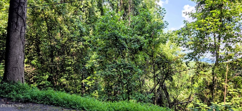 28 Sugar Maple Loop Rd Lot 28, Sevierville, TN 37862
