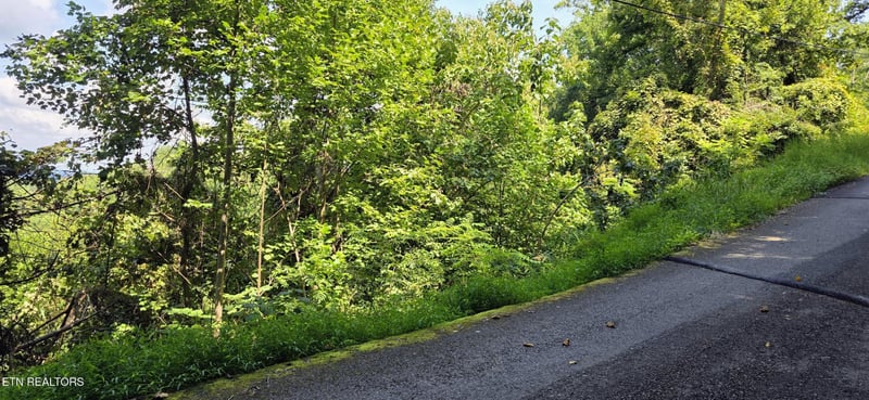 28 Sugar Maple Loop Rd Lot 28, Sevierville, TN 37862