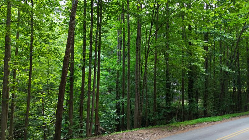 3008 Mohawk Dr, Gainesville, GA 30501