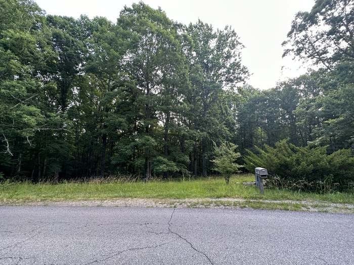 1251 Mount Pleasant Rd, Kingston Springs, TN 37082