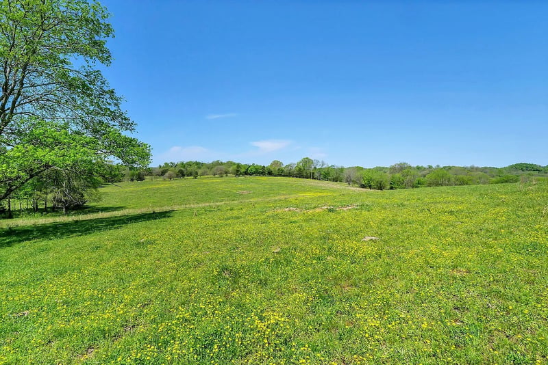 290 Gladdice Rd, Pleasant Shade, TN 37145