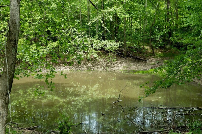 0 Billy Wynn Rd, Dickson, TN 37055