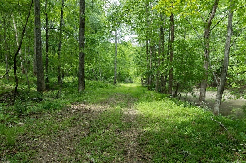 0 Billy Wynn Rd, Dickson, TN 37055