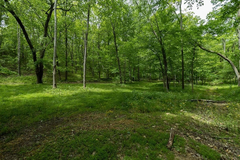 0 Billy Wynn Rd, Dickson, TN 37055