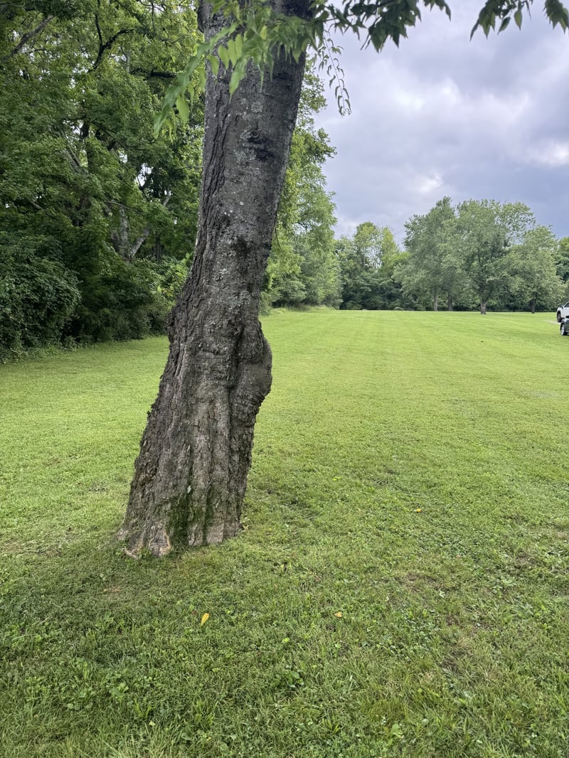 107 Tyne Bay Dr, Hendersonville, TN 37075