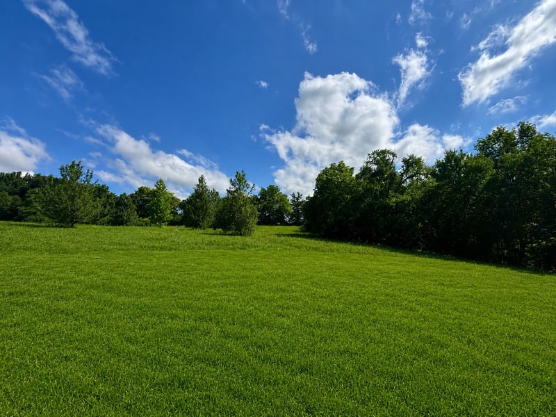 1272 Vickie Ln, Portland, TN 37148