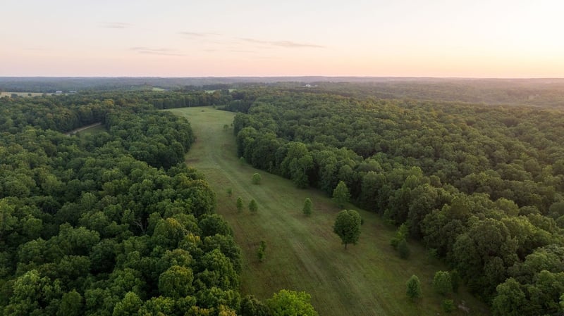 0 Shoals Branch Rd, Primm Springs, TN 38476